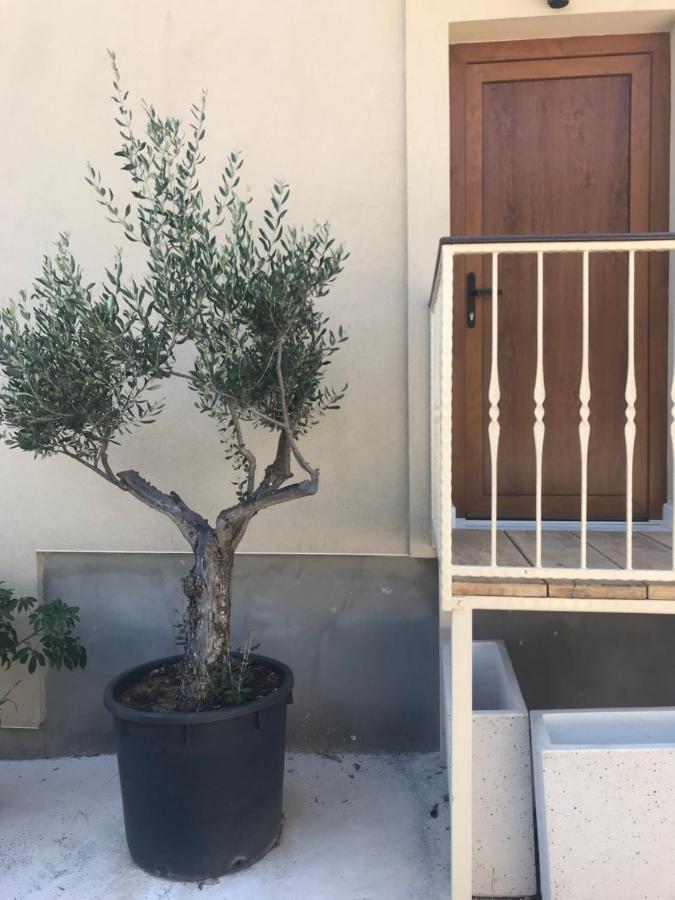 Apartment Novem Zadar