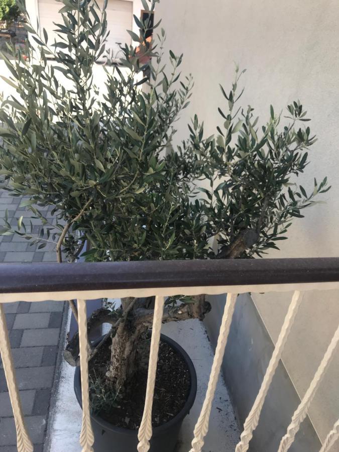 Apartment Novem *